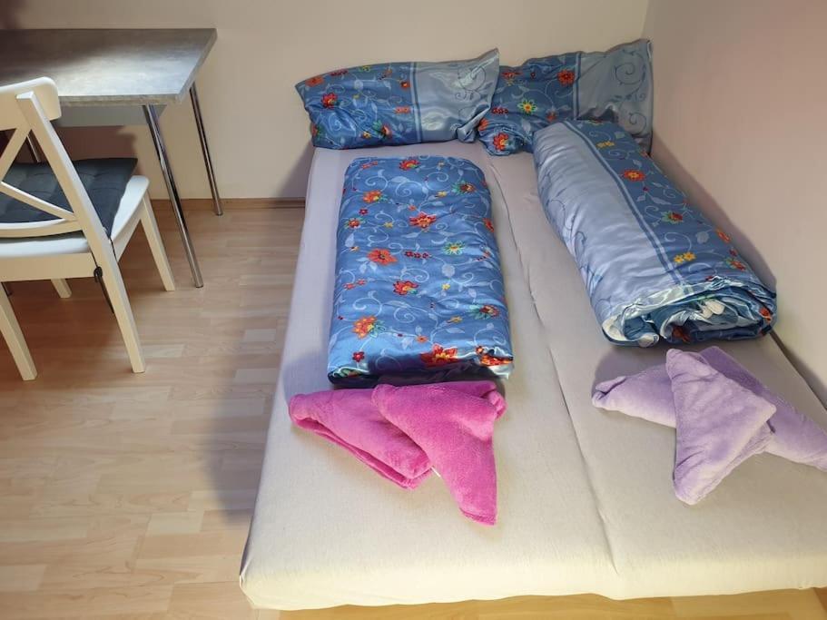 Schoene Wohnung Zentral インゴルシュタット エクステリア 写真